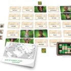 Codesnames Duet Card Game