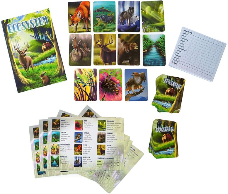 Ecosystem Board Game Contents